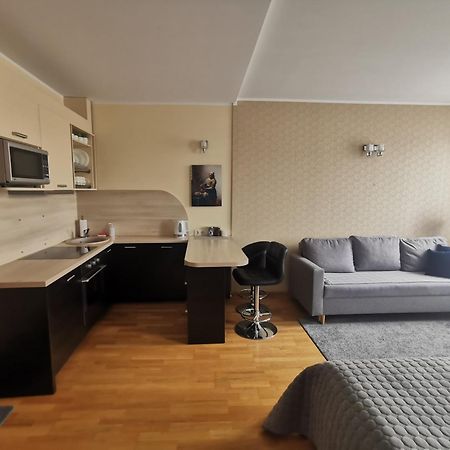My Old Town Bridge Apartment Klaipeda Bagian luar foto